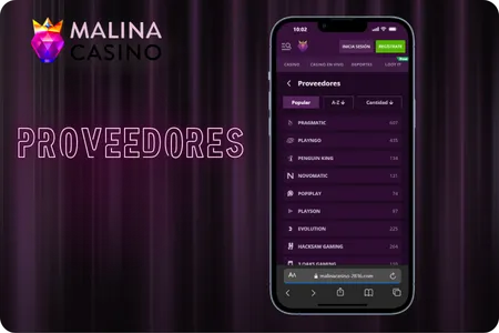 Malina Casino software
